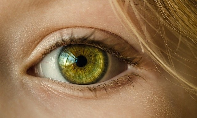 Iridology